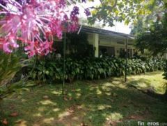 Finca Vereda Veraguas de 3 hectáreas – Oportunidad! - Finca en Melgar, Tolima
